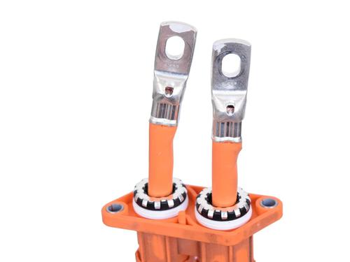 Ledningsnett POLESTAR POLESTAR 2 (534) EV | BP30268834E16