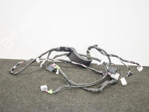 Wiring harness TESLA MODEL X (5YJX) P100D AWD | BP14608616E16 