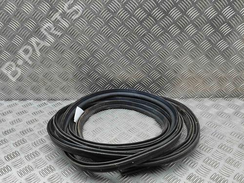 Used Rubber door seal Rubber door seal OPEL MOVANO B Van (X62) 2.3 CDTI FWD (FV) (125 hp) 36066813 36066813