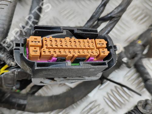 Wiring harness LAND ROVER RANGE ROVER SPORT II (L494) 3.0 SDV6 4x4 | BP27773271E16 