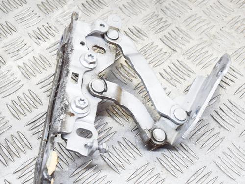 Hinge/Door check strap MERCEDES-BENZ CLS (C218) CLS 250 CDI / BlueTEC / d (218.303, 218.304) | BP14618884C146 