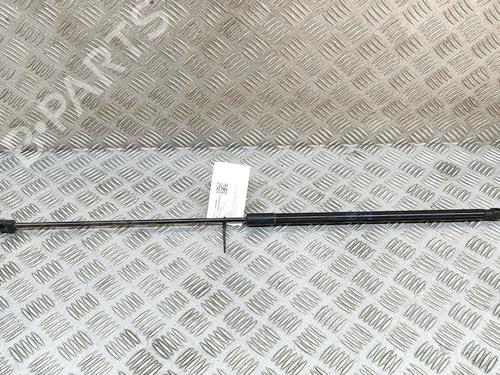 Hood lift support VW GOLF VII (5G1, BQ1, BE1, BE2) e-Golf | BP19126554C139 