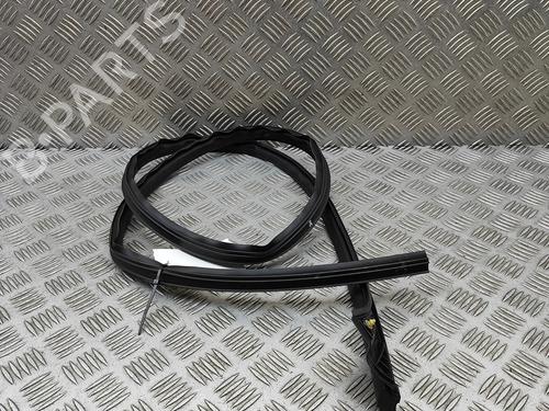 Gummiliste TESLA MODEL Y (5YJY) Long Range All-wheel Drive (514 hp) 30856780