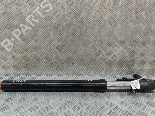 Other APRILIA MOTORCYCLES TUONO Tuono R (RR) | BP28555960O1 