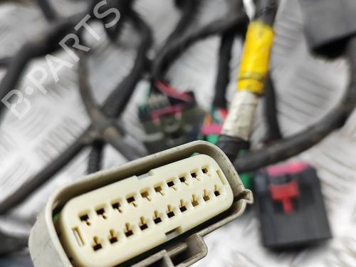 Ledningsnet TESLA MODEL S (5YJS) P100D AWD | BP30394348E16 