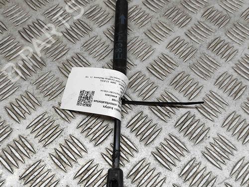 Hood lift support BMW X3 (E83) 3.0 d | BP24818133C139 