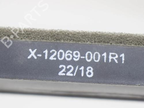 Electronic module TESLA MODEL S (5YJS) P100D AWD | BP8838714M83 