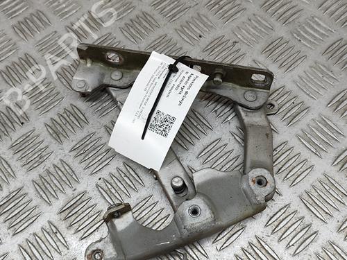 Hinge/Door check strap MERCEDES-BENZ S-CLASS (W220) S 320 (220.065, 220.165) | BP24580684C146 