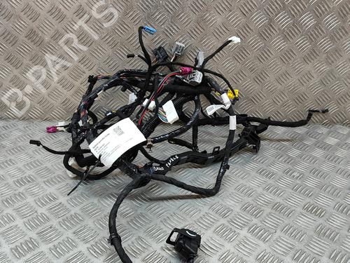 Ledningsnet TESLA MODEL 3 (5YJ3) EV | BP30620594E16 