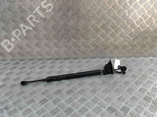 Hinge/Door check strap PORSCHE PANAMERA (970) 3.6 4 | BP27799407C146 