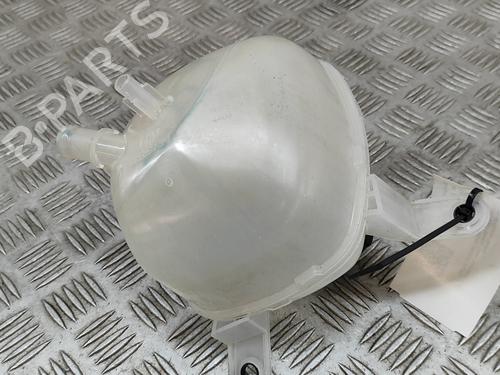 Expansion tank NISSAN QASHQAI III (J12) 1.3 DIG-T | BP29391428C120 