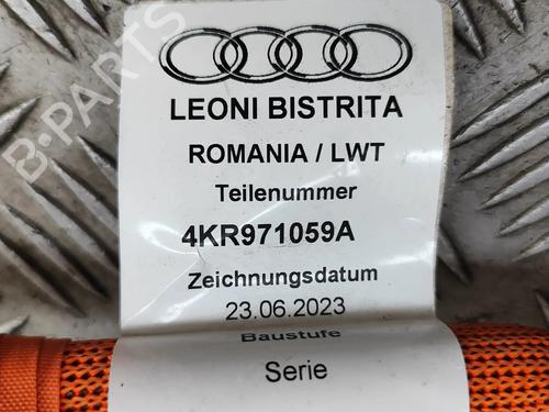 Wiring harness AUDI Q8 E-TRON Sportback (GET) 55 quattro | BP28561981E16