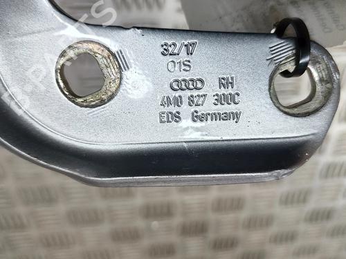 Hinge/Door check strap AUDI Q7 (4MB, 4MG, 4MQ) 3.0 TDI quattro | BP26405564C146 