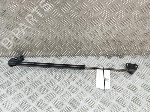 tailgate-lift-support-nissan-juke-f16_-2019-27769584 main image