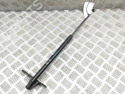 Tailgate lift support CITROËN C4 CACTUS 1.6 BlueHDi 100 | BP29975748C138