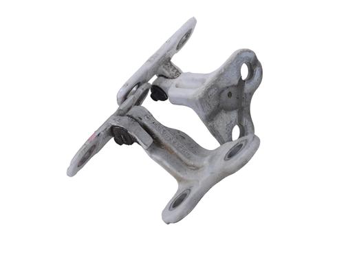 Hinge/Door check strap LAND ROVER RANGE ROVER VELAR (L560) 2.0 D180 TD4 4x4 | BP30239985C146