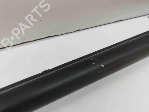 Rear parcel shelf RENAULT MEGANE CC (EZ0/1_) 1.6 dCi (EZ00) | BP29336761C85 