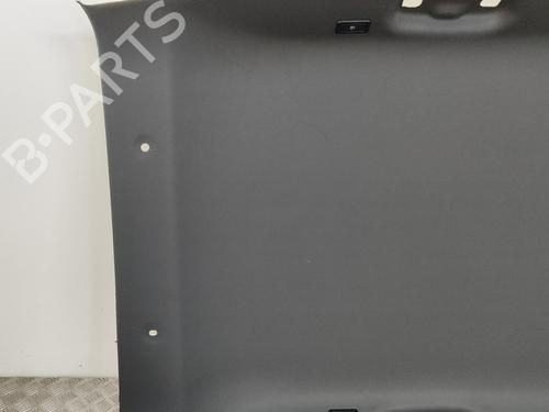Interior roof PEUGEOT 2008 II (UD_, US_, UY_, UJ_, UR_, UC_) e-2008 (UKZKXZ) | BP29042358I12 
