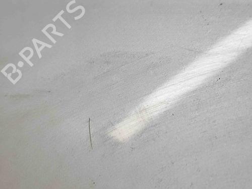 Tailgate TOYOTA RAV 4 III (_A3_) 2.2 D 4WD (ALA30_, ALA30R) | BP29752865C6 