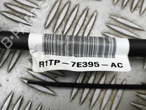 Cable FORD PUMA (J2K, CF7) 1.0 EcoBoost mHEV | BP38421966E12 - Image 7