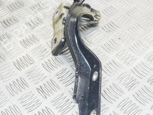 Hinge/Door check strap FIAT 500X (334_) 1.4 (334AXC1B, 334AXC11) | BP14625899C146 