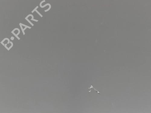 Other TESLA MODEL Y (5YJY) EV Rear-Wheel Drive | BP31297036O1 