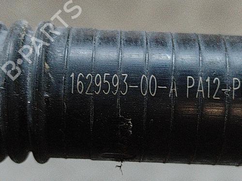 Pipe TESLA MODEL 3 (5YJ3) EV AWD | BP28550612M125 