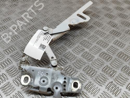 Hinge/Door check strap BMW 3 Touring (F31) 318 d xDrive | BP29076202C146 
