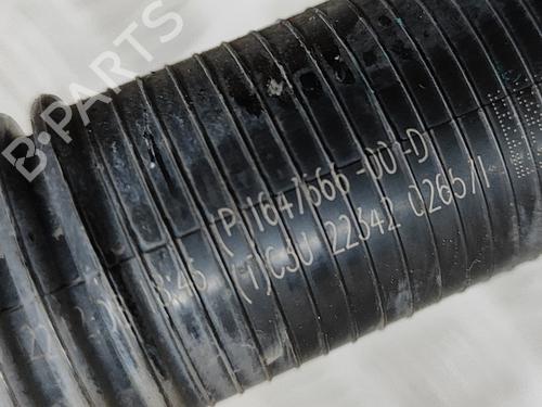 Pipe TESLA MODEL 3 (5YJ3) EV AWD | BP27768596M125 