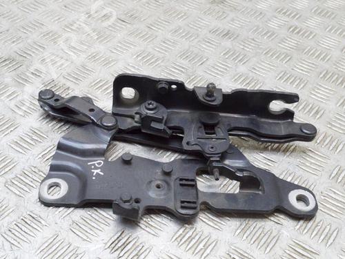 Hinge/Door check strap BMW 5 Touring (F11) 530 d | BP14650364C146 