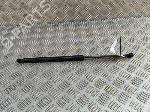 tailgate-lift-support-fiat-500-312_-2007-33374036 main image