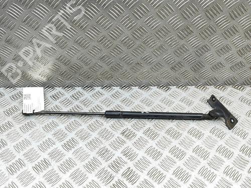 tailgate-lift-support-citroen-c4-cactus-2014-29975749 main image