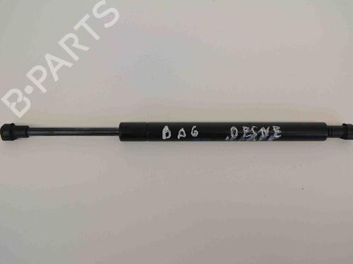 Used Tailgate lift support VW TOUAREG (7LA, 7L6, 7L7) 2.5 R5 TDI (174 hp) 30237466