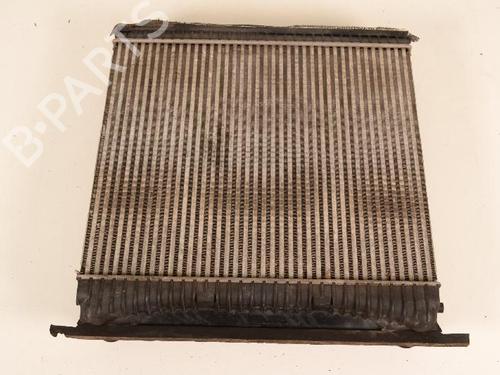 Used Intercooler LAND ROVER RANGE ROVER SPORT I (L320) 3.0 D 4x4 (245 hp) 30207768