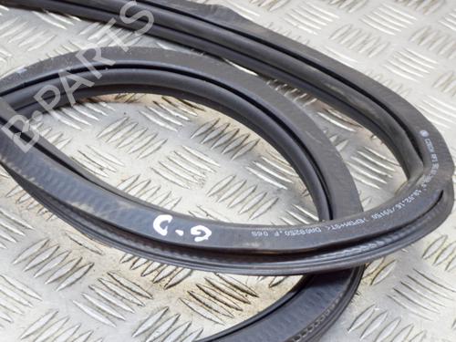 Rubber door seal SKODA OCTAVIA III (5E3, NL3, NR3) 2.0 TDI RS | BP14628787C142 
