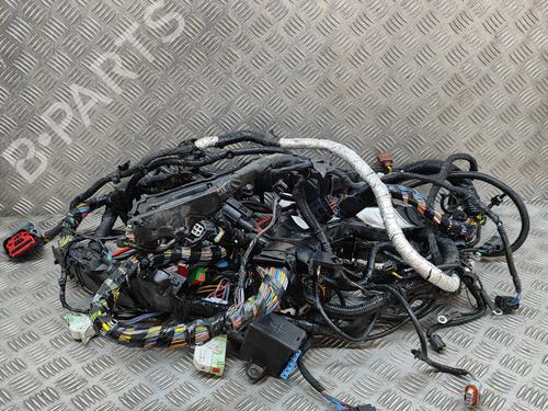 Used Wiring harness LAND ROVER RANGE ROVER SPORT II (L494) 5.0 SCV8 4x4 (550 hp) 27775577