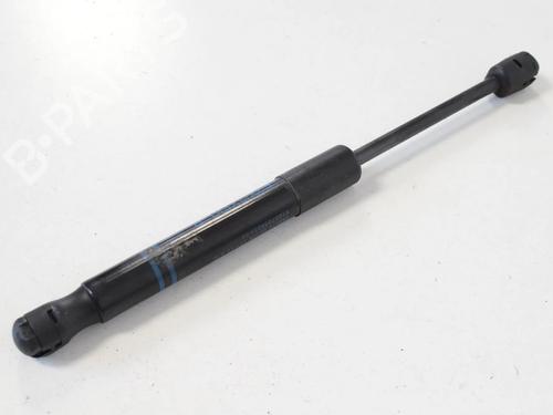 hood-lift-support-bmw-4-coupe-f32-f82-2013-2014-2015-2016-2017-2018-2019-2020-30207466 main image