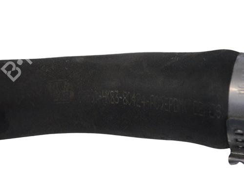 Pipe JAGUAR F-PACE (X761) 2.0 TD4 | BP30246410M125 