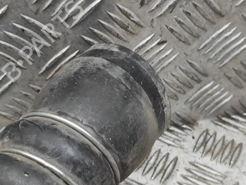 Pipe AUDI A3 Sportback (8VA, 8VF) RS3 quattro | BP35718075M125 - Image 5