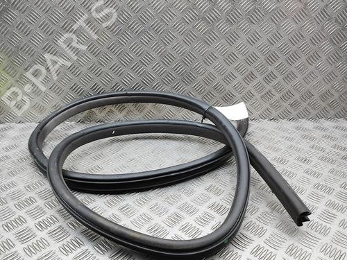 Gummiliste Gummiliste JAGUAR XJ (X350, X358) D 2.7 (207 hp) 36983905 36983905