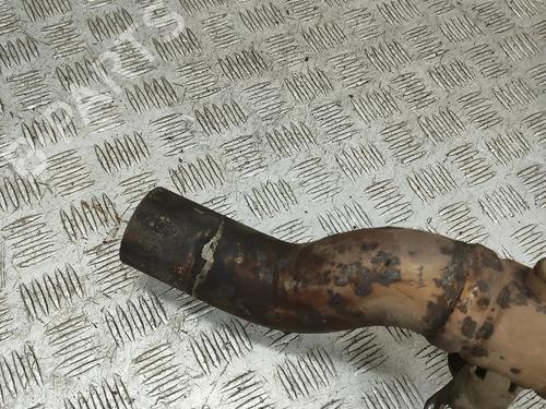 Catalyst SKODA YETI (5L) 2.0 TDI 4x4 | BP31902901M10 