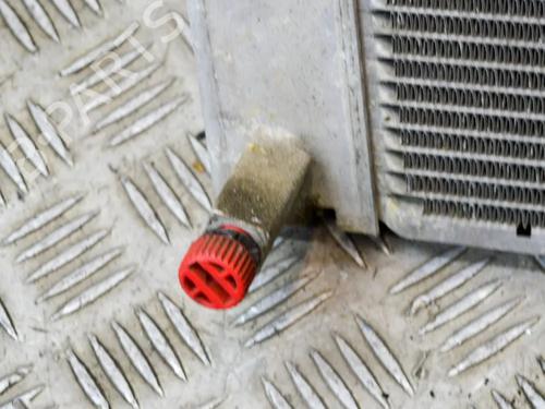 Water radiator BMW 7 (E65, E66, E67) 730 Ld | BP12175363M31 - Image 5