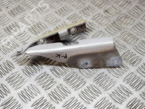 Used Hinge/Door check strap CITROËN C3 Pluriel (HB_) 1.6 (109 hp) 14635447