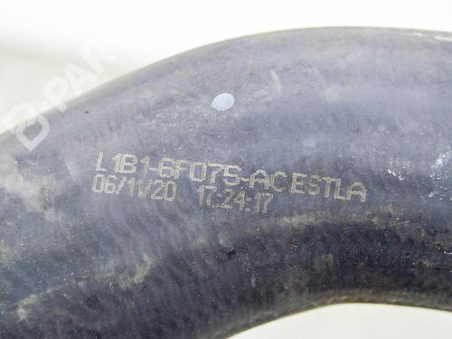 Tuyau FORD FIESTA VII (HJ, HF) 1.0 EcoBoost | BP11490137M125