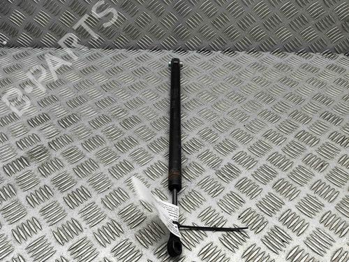 Hinge/Door check strap MERCEDES-BENZ S-CLASS (W221, V221) S 350 BlueTec (221.026, 221.126) | BP29404773C146 