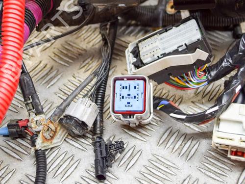 Wiring harness TESLA MODEL 3 (5YJ3) EV AWD | BP27754961E16 