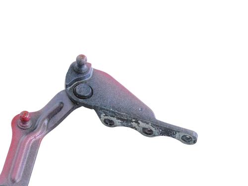 Hinge/Door check strap TESLA MODEL X (5YJX) P100D AWD | BP30251871C146