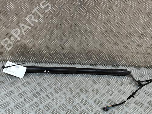Used Tailgate lift support VW TOUAREG (7P5, 7P6) 3.0 V6 TDI (245 hp) 17140288