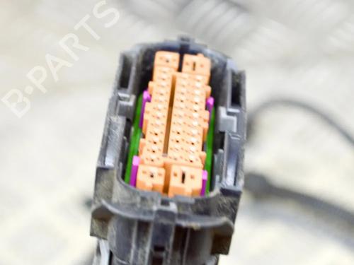 Wiring harness PORSCHE PANAMERA (970) 3.0 D | BP14622892E16