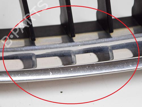 Grille BMW 3 (E90) 320 i | BP10526840C40 